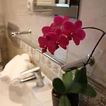 Velvet Kościelisko