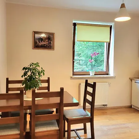 Apartmán Velvet Kościelisko